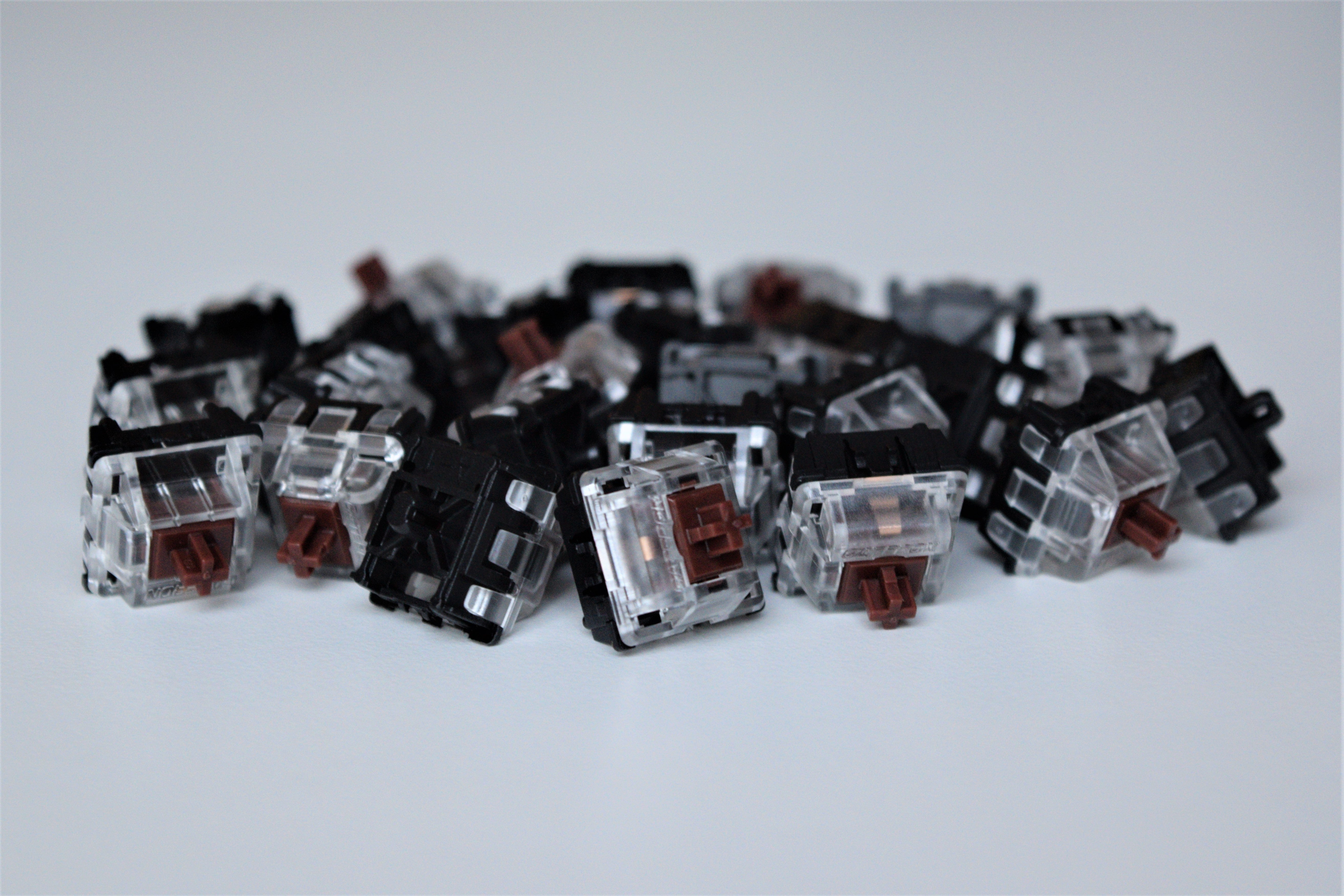 Gateron Optical Brown Group View