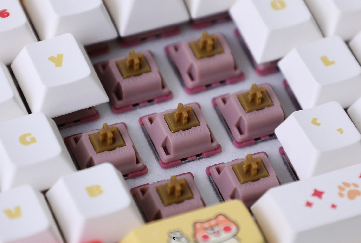 GATERON Mountain-Top Switches - KeebsForAll