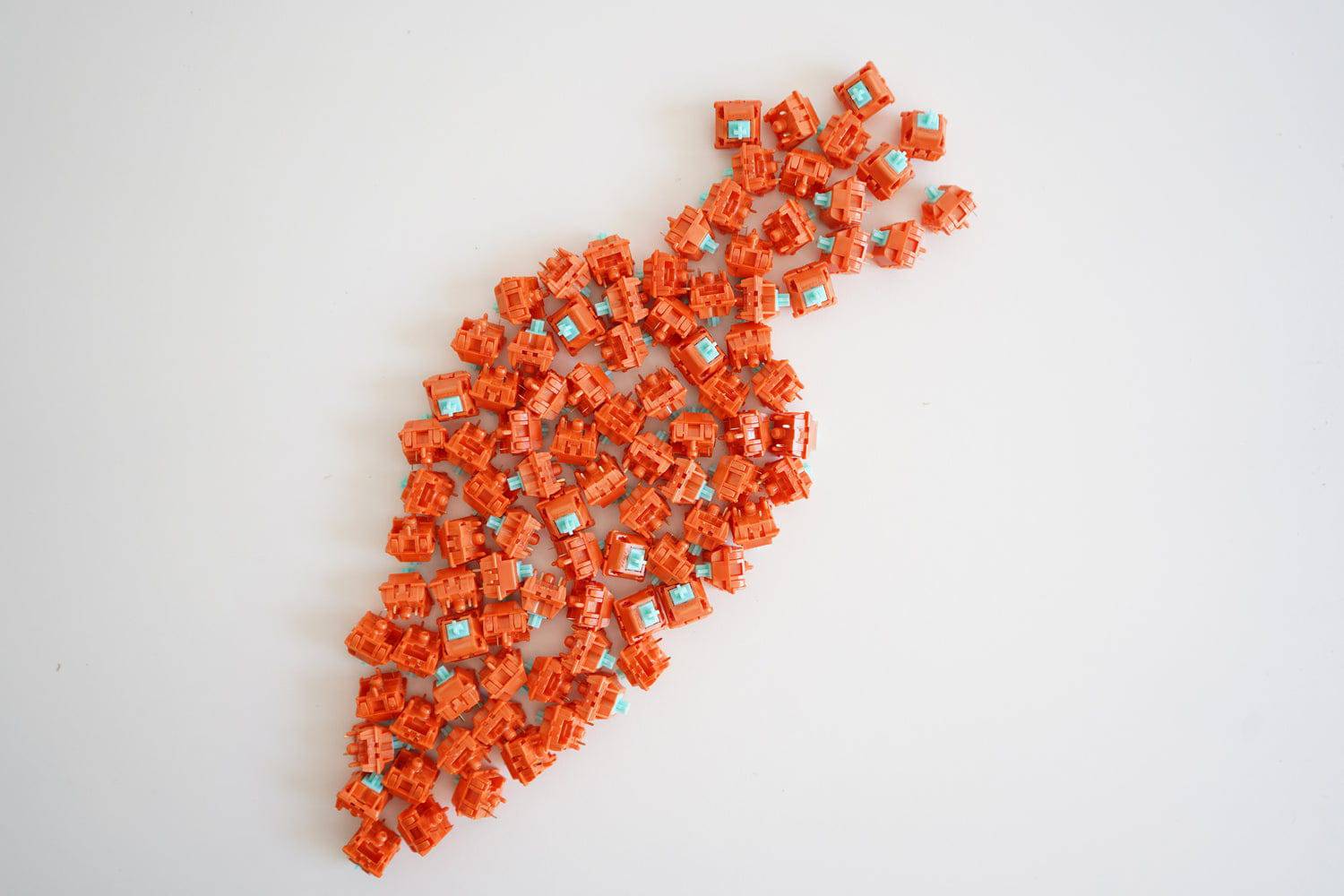 Tecsee Carrot Switches laid out in the shape of a carrot.