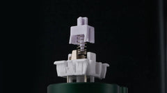 Wuque WS Morandi Linear Switches - Alternate Angle