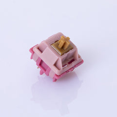 Detailed view of GATERON Mountain-Top Switches