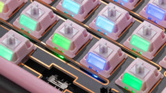 [Group Buy] Chilkey Paw 65 Switch Series - KeebsForAll