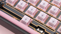 [Group Buy] Chilkey Paw 65 Switch Series - KeebsForAll