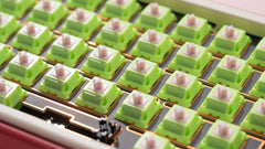 Chilkey Paw 65 Switch Series - Gallery Image 8
