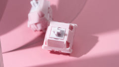 Chilkey Paw 65 Switch Series - Gallery Image 10
