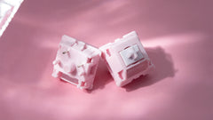 [Group Buy] Chilkey Paw 65 Switch Series - KeebsForAll