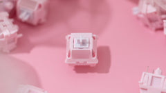 [Group Buy] Chilkey Paw 65 Switch Series - KeebsForAll