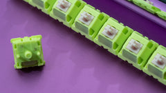 Chilkey Paw 65 Switch Series - Alternate Angle
