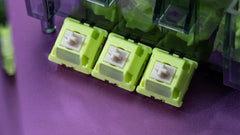 Close up of Chilkey Paw 65 Switch Series