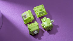 Chilkey Paw 65 Switch Series - Gallery Image 5
