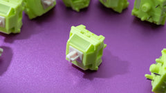 Detailed view of Chilkey Paw 65 Switch Series