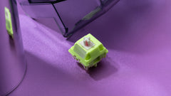 Chilkey Paw 65 Switch Series - Discover the Paw 65 Switch Series tailored for the stylish C