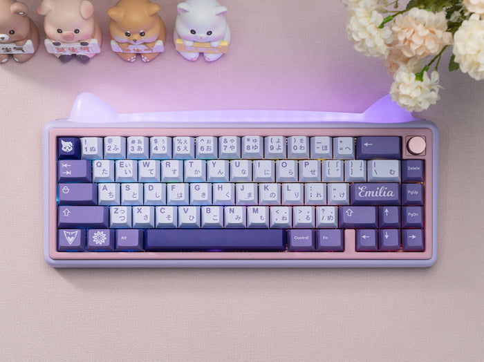 Chilkey PAW65 Barebone Edition