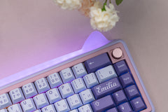 Detailed view of Chilkey PAW65 Barebone Edition for Mechanical Keyboards