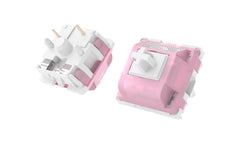 Detailed view of Durock White Lotus Tactile Switches