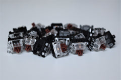 Gateron Optical Brown Group View