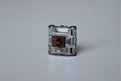 Gateron Optical Brown Front View