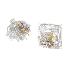 Detailed view of Gateron New North Pole V2 Switches
