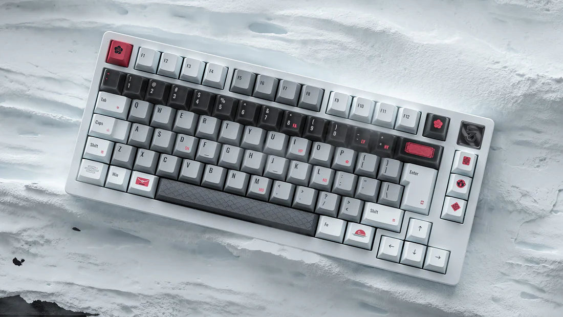 ALOHAKB AUSICIOUS SNOW Cherry Profile Keycaps