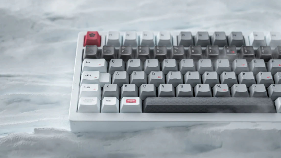 ALOHAKB AUSICIOUS SNOW Cherry Profile Keycaps