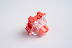 Detailed view of Momoka Flamingo Linear Switches