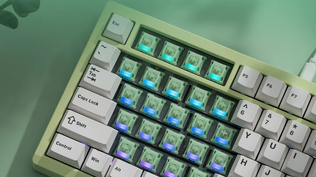 Wuque WS Jade Linear Switches - KeebsForAll