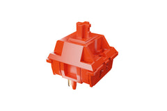 Detailed view of Owlab Latte Linear Switches