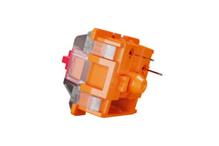 Close up of TTC Golden Red V3 Linear Switches