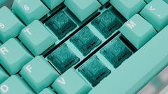 WS Akuamarin linear switches