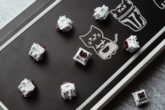 Close up of Wuque WS Brown Tactile Switches