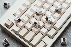 Wuque WS Brown Tactile Switches - Alternate Angle