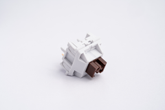 Detailed view of Wuque WS Brown Tactile Switches