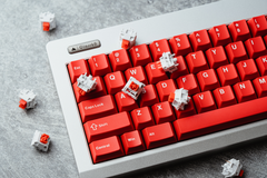 Detailed view of Wuque WS Red Linear Switches