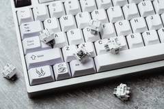 Detailed view of Wuque WS Silent Tactile Switches