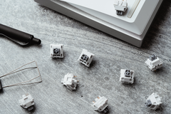 Wuque WS Silent Tactile Switches - Alternate Angle