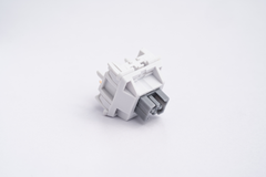 Close up of Wuque WS Silent Tactile Switches
