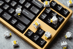Detailed view of Wuque WS Yellow Linear Switches