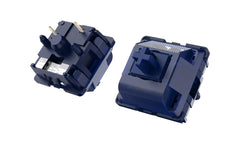 Detailed view of Durock Blue Lotus T1 Tactile Switches