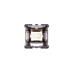 Detailed view of BSUN Pine Tactile Switches