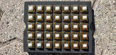 Tecsee Metal Coated Switches (Golden Housing with Clear Stem) 5pin