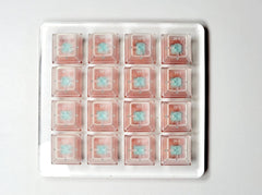 Switch Tester Case Medium 4x4