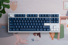 kfaPBT White on Navy Keycaps - Alternate Angle