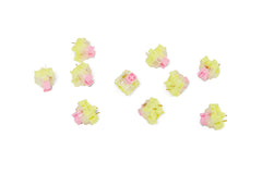 Group of TTC Gold Pink Linear Switches