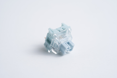 Detailed view of TTC Bluish White Tactile Switches