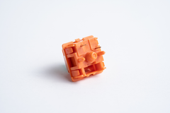 Detailed view of Tecsee Carrot Linear Switches