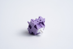 Detailed view of Tecsee Purple Panda Tactile Switches