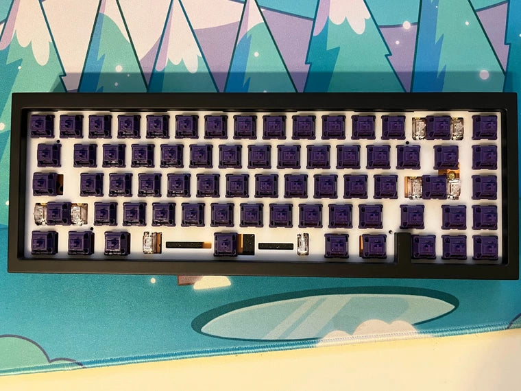 [KFA MARKETPLACE] QK65 R1 w/ TECHNO VIOLET SWITCHES - KeebsForAll