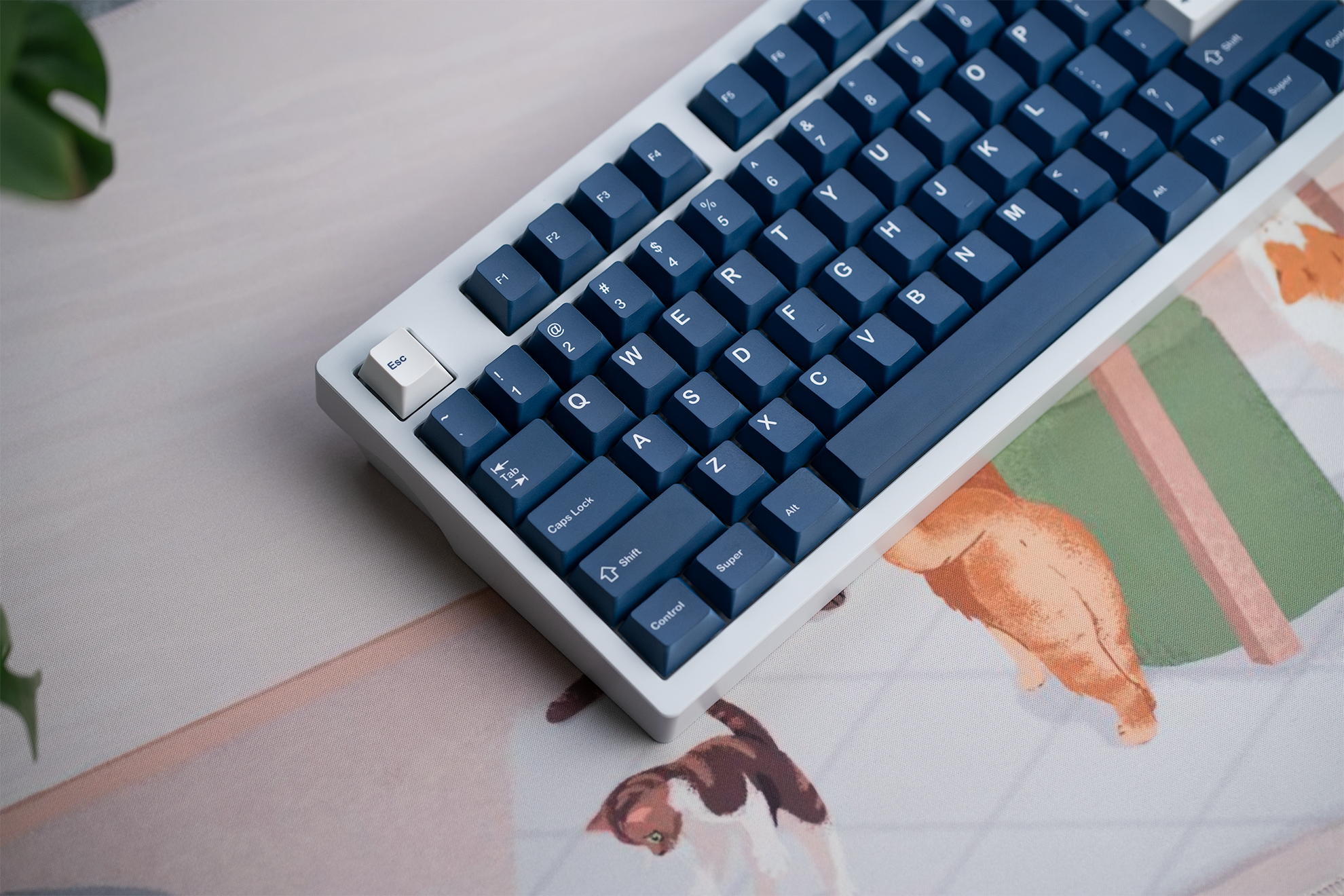 KFAPBT White on Navy Keycaps photographed on Apollo TKL