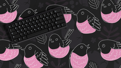 Close up of Pink Robin Deskmats