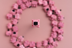 KFA Pink Robin Switches - Gallery Image 9